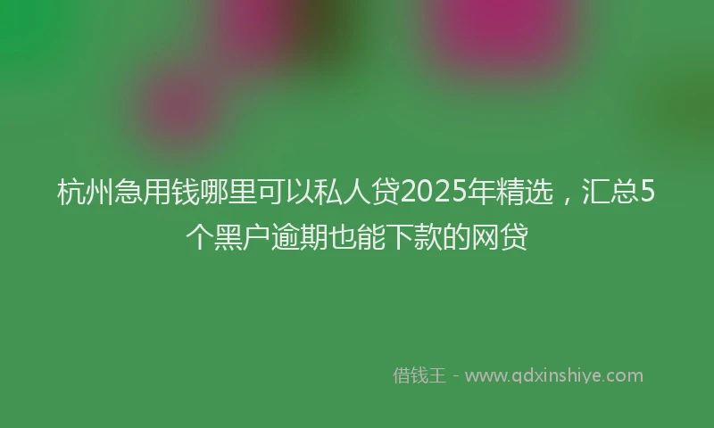杭州急用钱哪里可以私人贷2025年精选，汇总5个黑户逾期也能下款的网贷