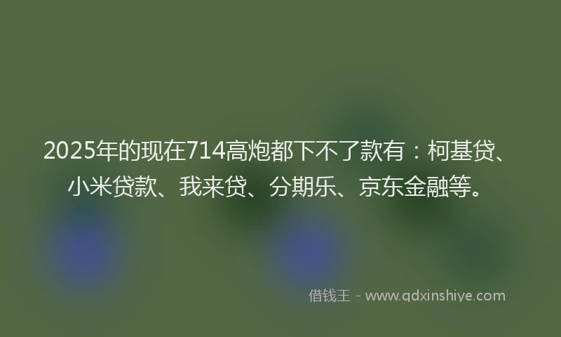 2025年的现在714高炮都下不了款有：柯基贷、小米贷款、我来贷、分期乐、京东金融等。