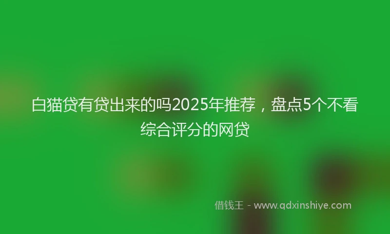 白猫贷有贷出来的吗2025年推荐，盘点5个不看综合评分的网贷