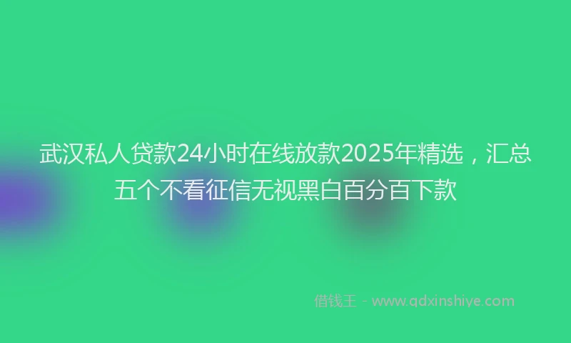 武汉私人贷款24小时在线放款2025年精选，汇总五个不看征信无视黑白百分百下款