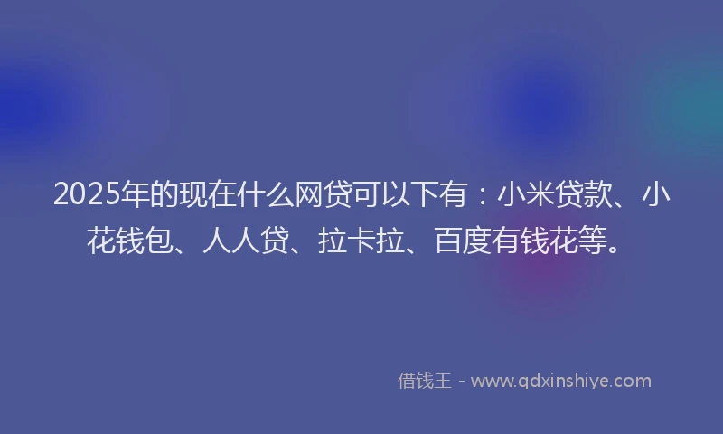 2025年的现在什么网贷可以下有：小米贷款、小花钱包、人人贷、拉卡拉、百度有钱花等。
