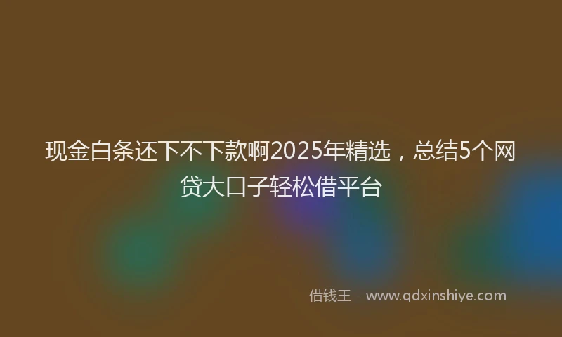 现金白条还下不下款啊2025年精选，总结5个网贷大口子轻松借平台