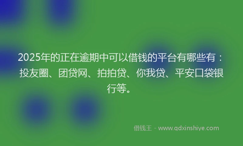2025年的正在逾期中可以借钱的平台有哪些有：投友圈、团贷网、拍拍贷、你我贷、平安口袋银行等。