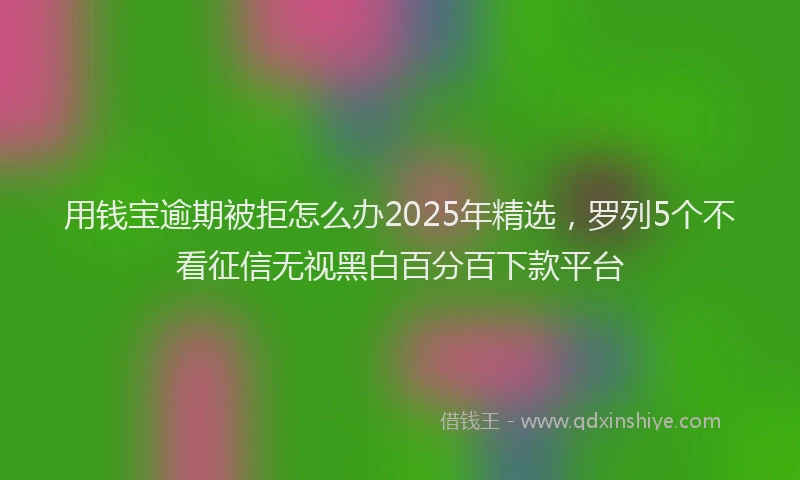 用钱宝逾期被拒怎么办2025年精选，罗列5个不看征信无视黑白百分百下款平台