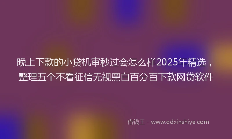 晚上下款的小贷机审秒过会怎么样2025年精选，整理五个不看征信无视黑白百分百下款网贷软件