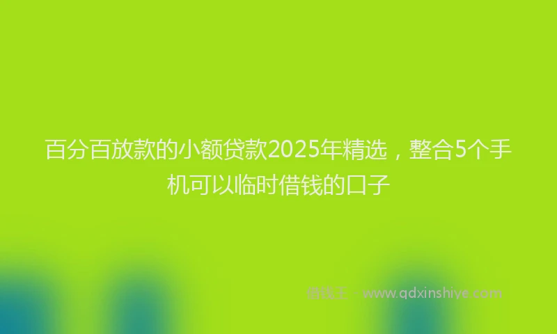 百分百放款的小额贷款2025年精选，整合5个手机可以临时借钱的口子