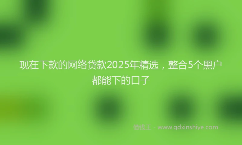 现在下款的网络贷款2025年精选，整合5个黑户都能下的口子