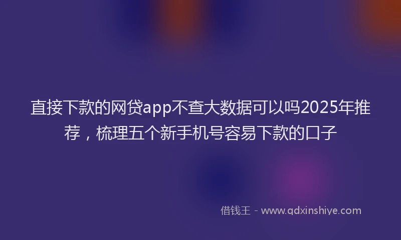 直接下款的网贷app不查大数据可以吗2025年推荐，梳理五个新手机号容易下款的口子