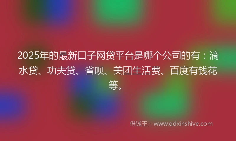 2025年的最新口子网贷平台是哪个公司的有：滴水贷、功夫贷、省呗、美团生活费、百度有钱花等。