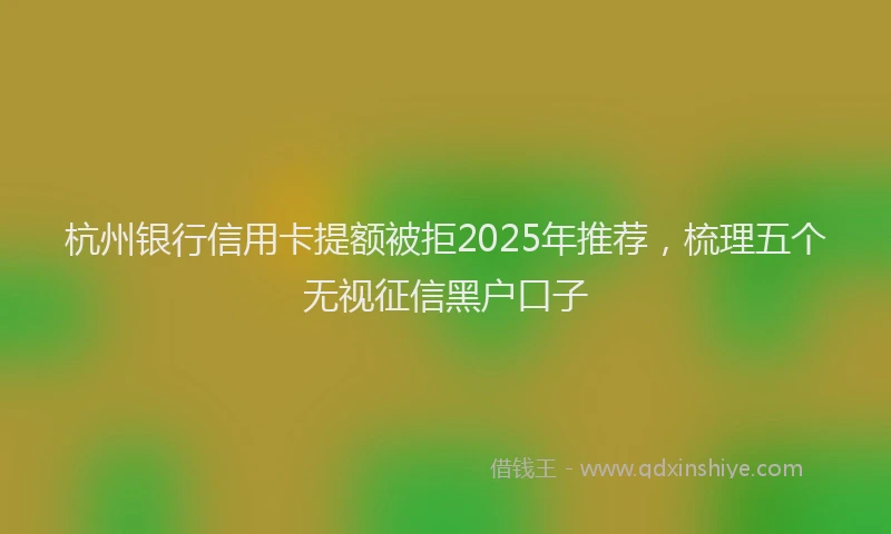 杭州银行信用卡提额被拒2025年推荐，梳理五个无视征信黑户口子