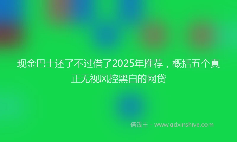 现金巴士还了不过借了2025年推荐，概括五个真正无视风控黑白的网贷