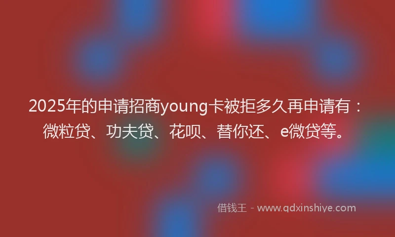 2025年的申请招商young卡被拒多久再申请有：微粒贷、功夫贷、花呗、替你还、e微贷等。