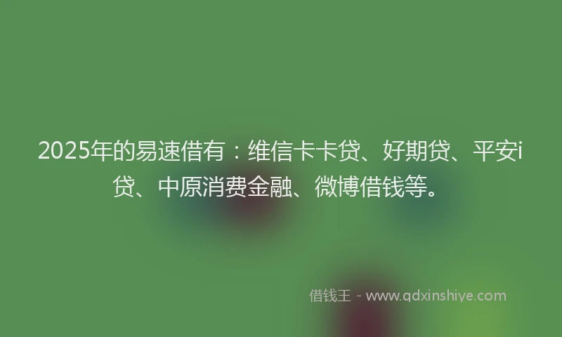 2025年的易速借有：维信卡卡贷、好期贷、平安i贷、中原消费金融、微博借钱等。