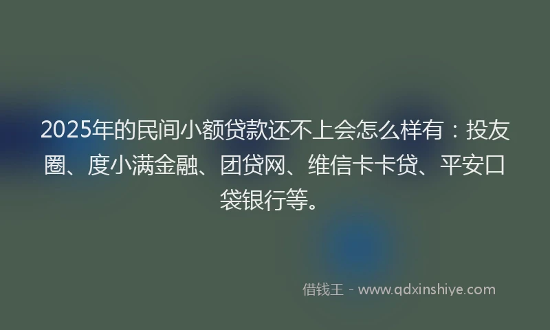 2025年的民间小额贷款还不上会怎么样有：投友圈、度小满金融、团贷网、维信卡卡贷、平安口袋银行等。