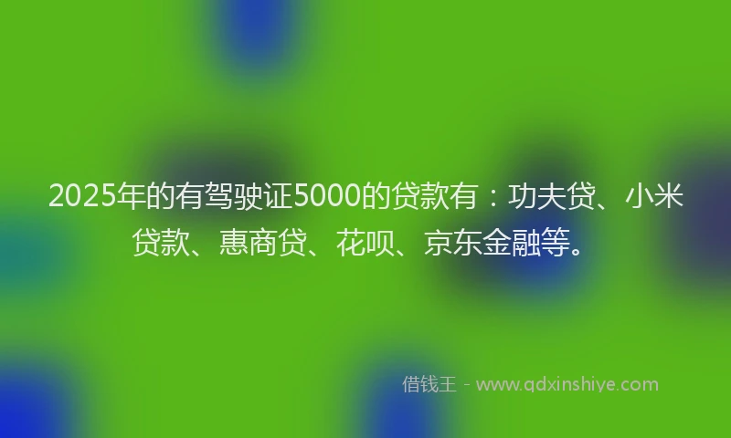 2025年的有驾驶证5000的贷款有：功夫贷、小米贷款、惠商贷、花呗、京东金融等。