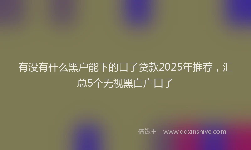 有没有什么黑户能下的口子贷款2025年推荐，汇总5个无视黑白户口子