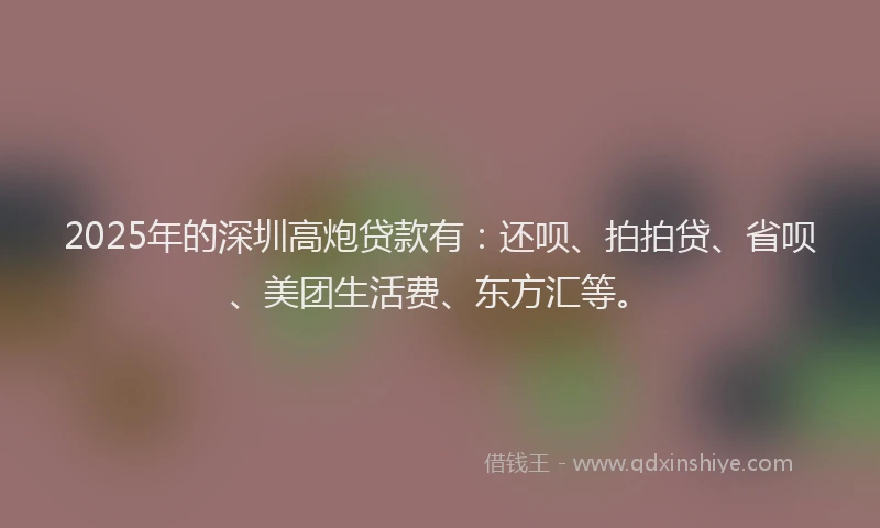 2025年的深圳高炮贷款有：还呗、拍拍贷、省呗、美团生活费、东方汇等。