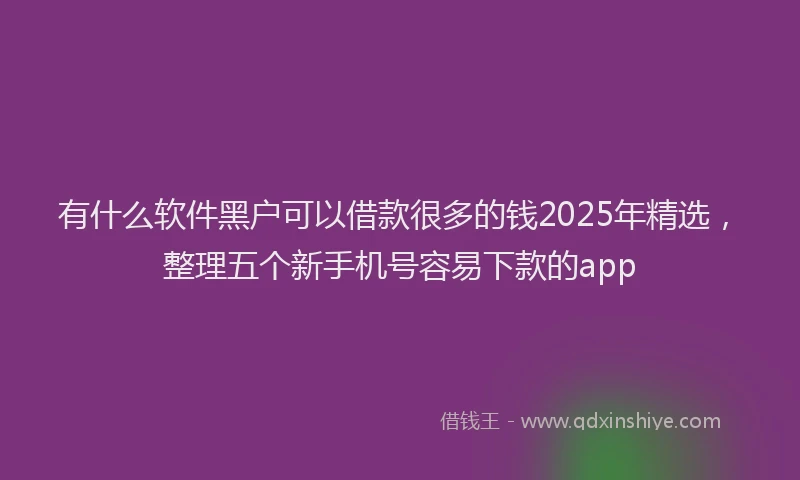 有什么软件黑户可以借款很多的钱2025年精选，整理五个新手机号容易下款的app