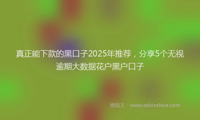 真正能下款的黑口子2025年推荐，分享5个无视逾期大数据花户黑户口子