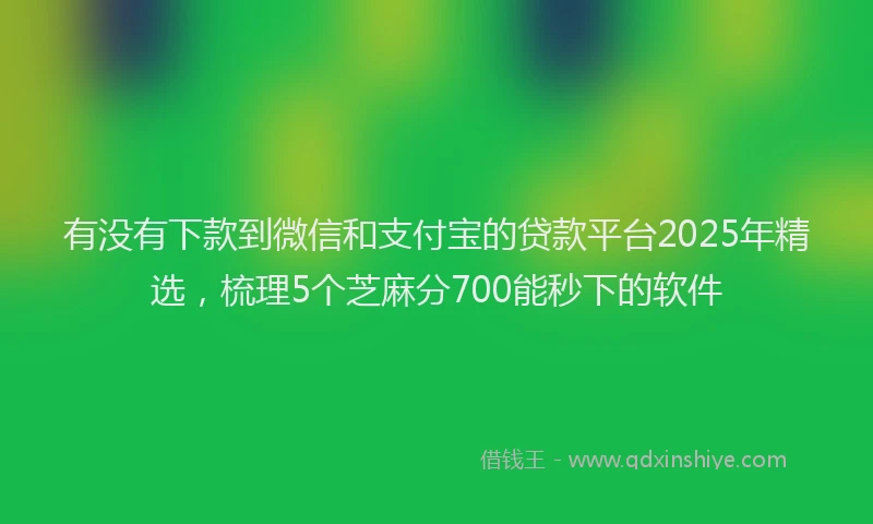 有没有下款到微信和支付宝的贷款平台2025年精选，梳理5个芝麻分700能秒下的软件