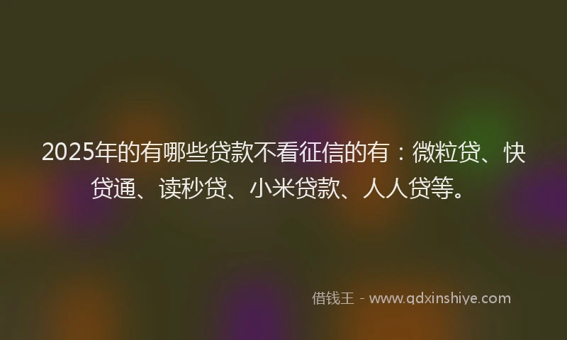2025年的有哪些贷款不看征信的有：微粒贷、快贷通、读秒贷、小米贷款、人人贷等。