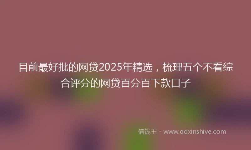 目前最好批的网贷2025年精选，梳理五个不看综合评分的网贷百分百下款口子