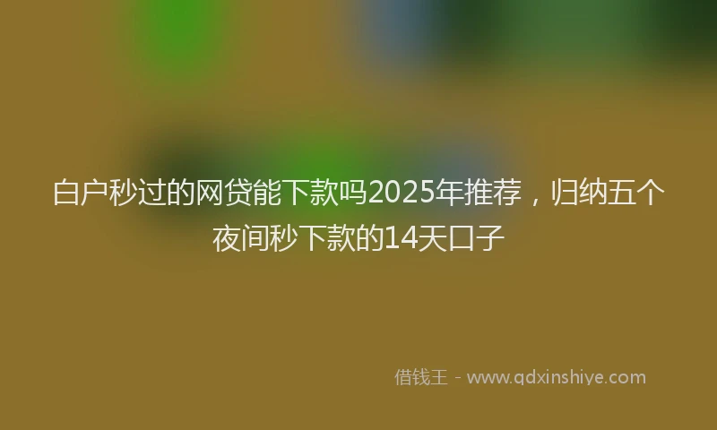 白户秒过的网贷能下款吗2025年推荐，归纳五个夜间秒下款的14天口子