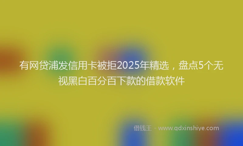 有网贷浦发信用卡被拒2025年精选，盘点5个无视黑白百分百下款的借款软件
