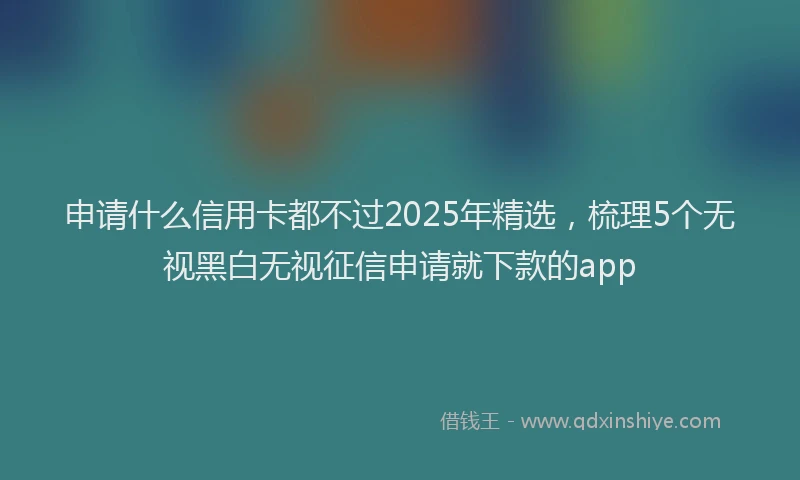 申请什么信用卡都不过2025年精选，梳理5个无视黑白无视征信申请就下款的app