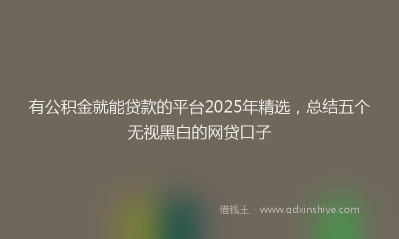 有公积金就能贷款的平台2025年精选，总结五个无视黑白的网贷口子