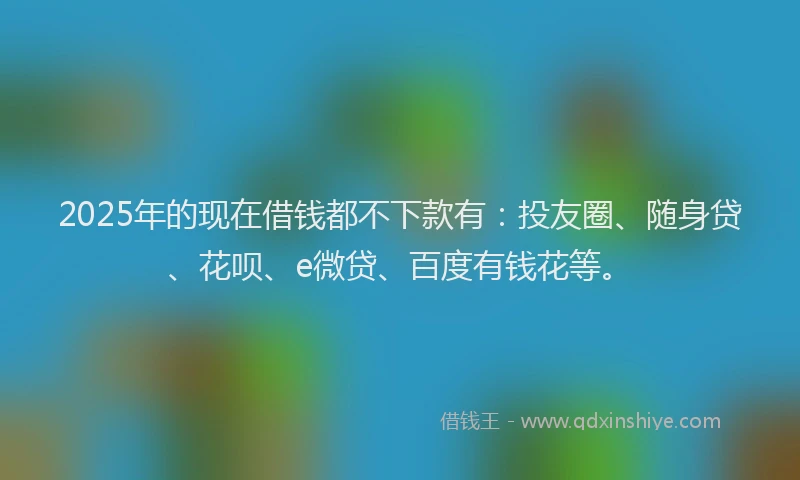 2025年的现在借钱都不下款有：投友圈、随身贷、花呗、e微贷、百度有钱花等。