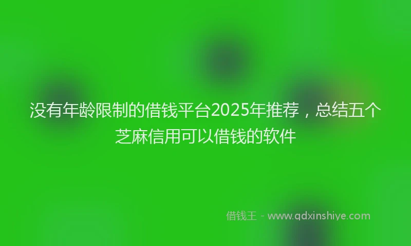 没有年龄限制的借钱平台2025年推荐，总结五个芝麻信用可以借钱的软件