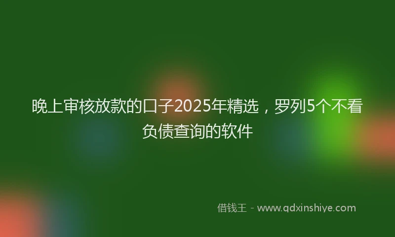 晚上审核放款的口子2025年精选，罗列5个不看负债查询的软件