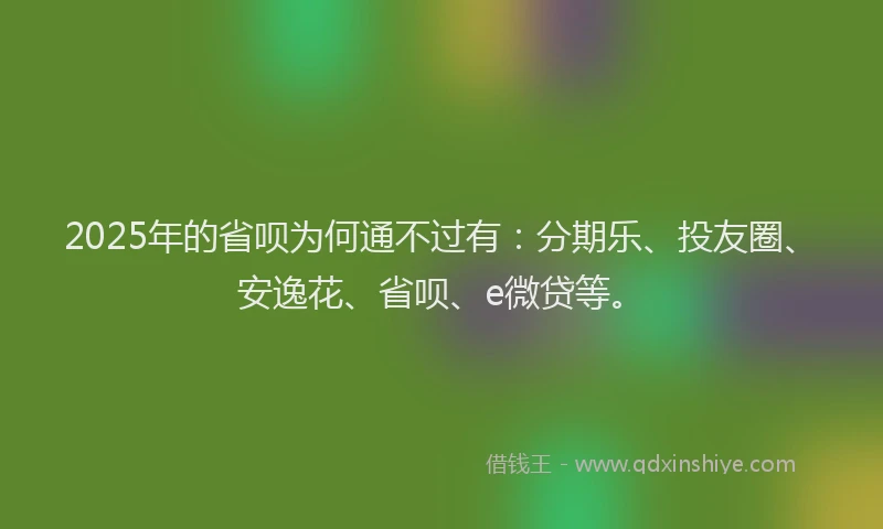 2025年的省呗为何通不过有：分期乐、投友圈、安逸花、省呗、e微贷等。