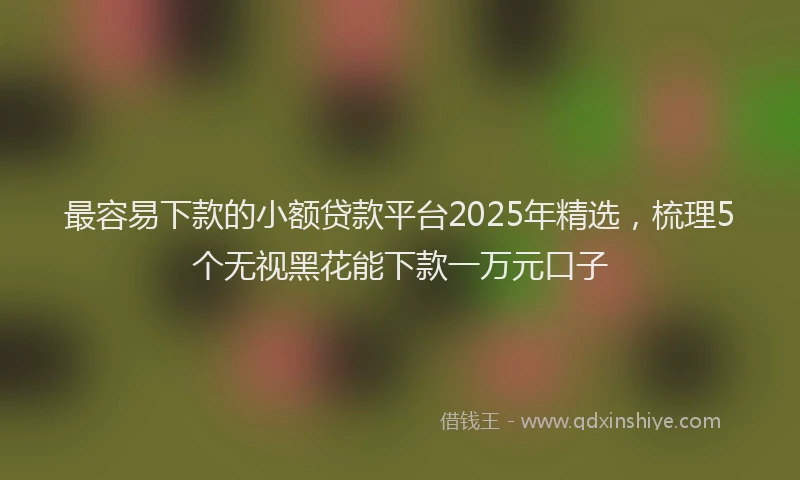 最容易下款的小额贷款平台2025年精选，梳理5个无视黑花能下款一万元口子
