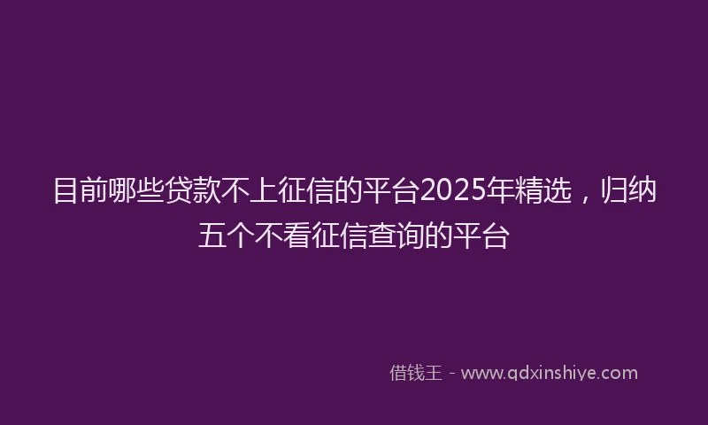 目前哪些贷款不上征信的平台2025年精选，归纳五个不看征信查询的平台