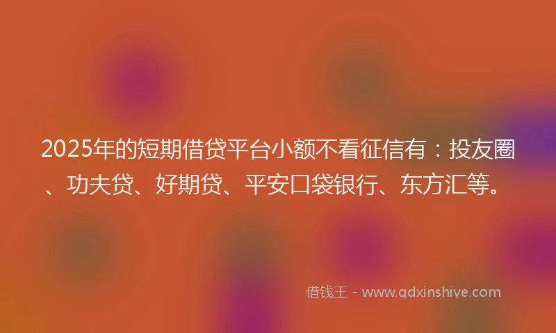 2025年的短期借贷平台小额不看征信有：投友圈、功夫贷、好期贷、平安口袋银行、东方汇等。