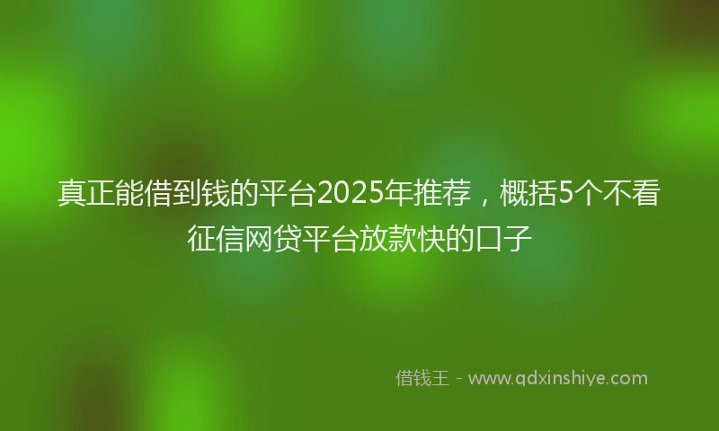 真正能借到钱的平台2025年推荐，概括5个不看征信网贷平台放款快的口子