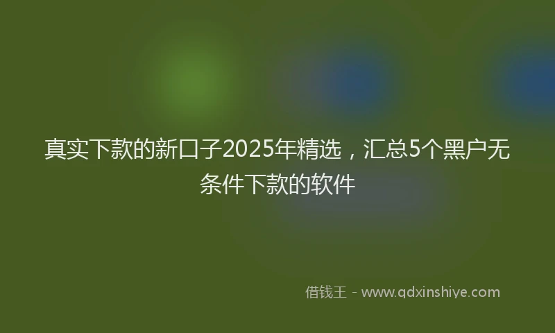真实下款的新口子2025年精选，汇总5个黑户无条件下款的软件