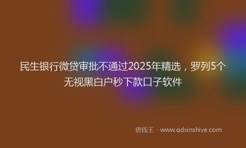 民生银行微贷审批不通过2025年精选，罗列5个无视黑白户秒下款口子软件