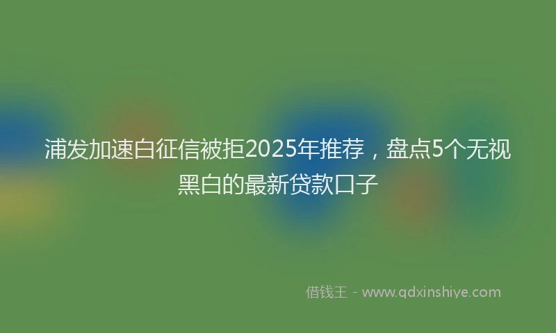 浦发加速白征信被拒2025年推荐，盘点5个无视黑白的最新贷款口子