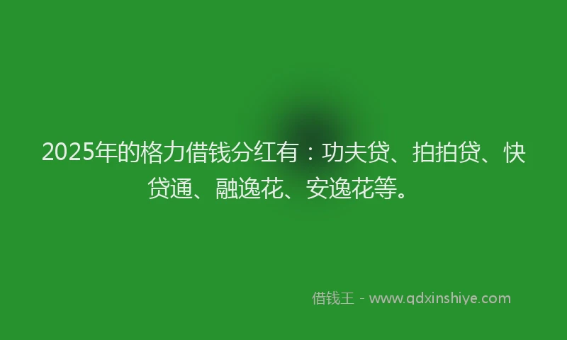 2025年的格力借钱分红有：功夫贷、拍拍贷、快贷通、融逸花、安逸花等。