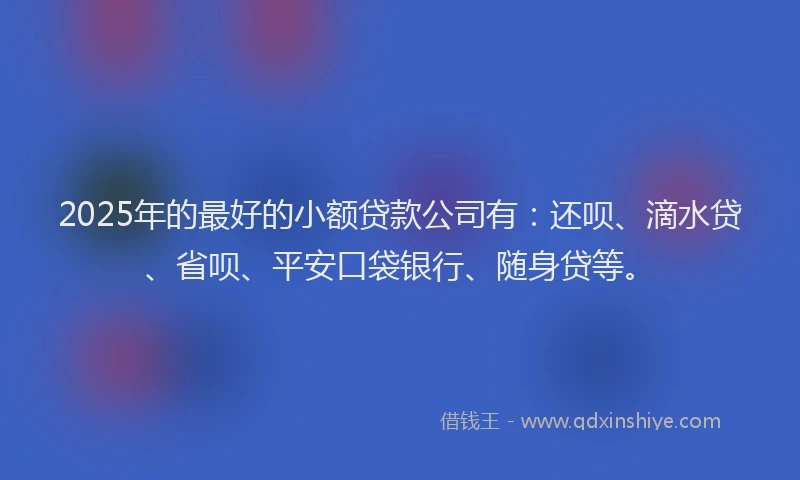 2025年的最好的小额贷款公司有：还呗、滴水贷、省呗、平安口袋银行、随身贷等。