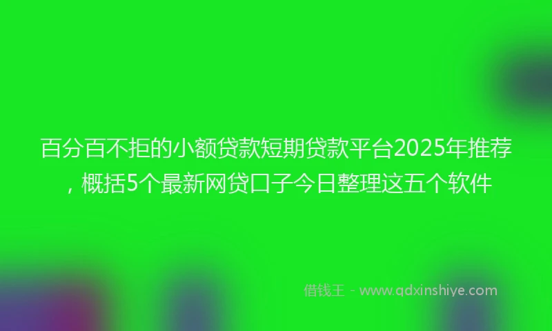 百分百不拒的小额贷款短期贷款平台2025年推荐，概括5个最新网贷口子今日整理这五个软件