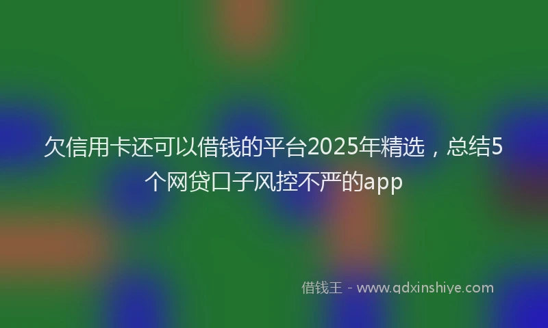 欠信用卡还可以借钱的平台2025年精选，总结5个网贷口子风控不严的app