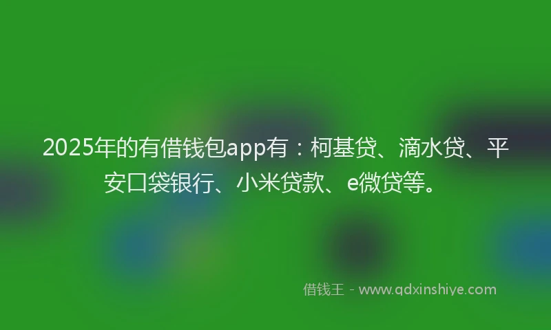 2025年的有借钱包app有：柯基贷、滴水贷、平安口袋银行、小米贷款、e微贷等。