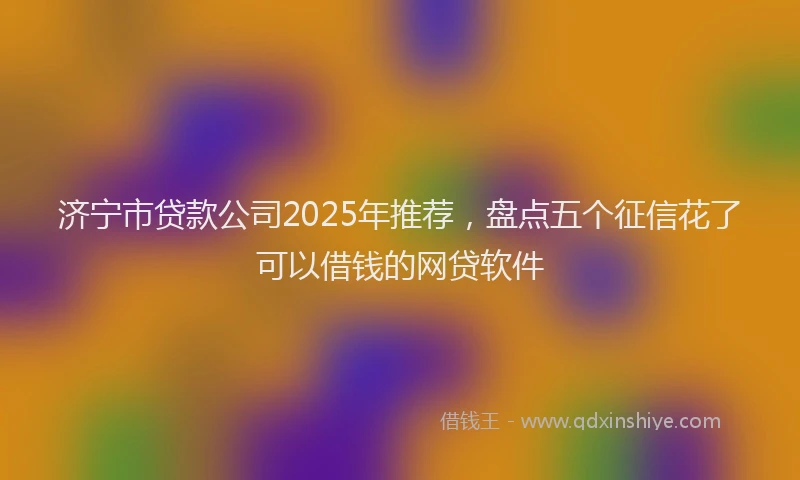 济宁市贷款公司2025年推荐，盘点五个征信花了可以借钱的网贷软件