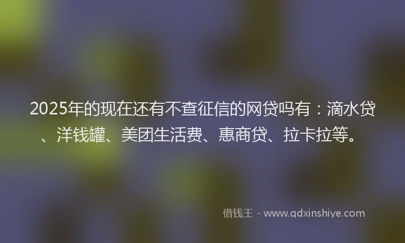 2025年的现在还有不查征信的网贷吗有：滴水贷、洋钱罐、美团生活费、惠商贷、拉卡拉等。