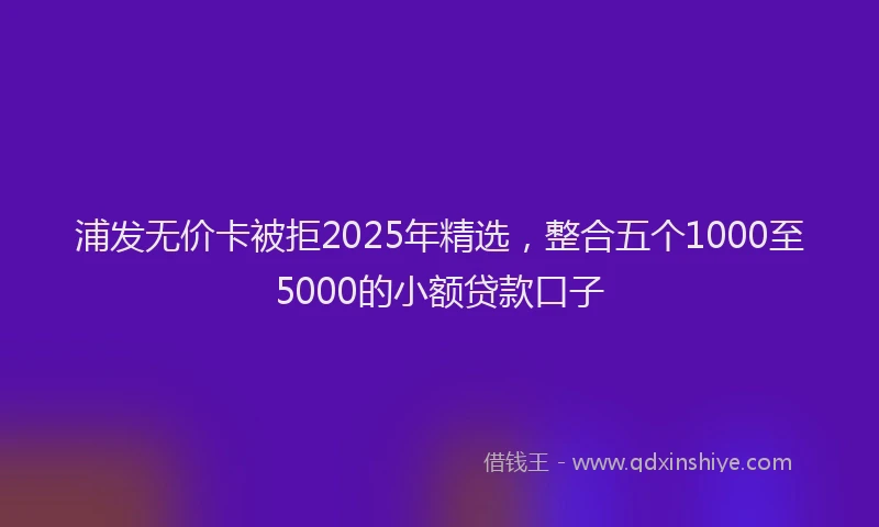 浦发无价卡被拒2025年精选，整合五个1000至5000的小额贷款口子