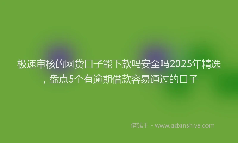 极速审核的网贷口子能下款吗安全吗2025年精选，盘点5个有逾期借款容易通过的口子
